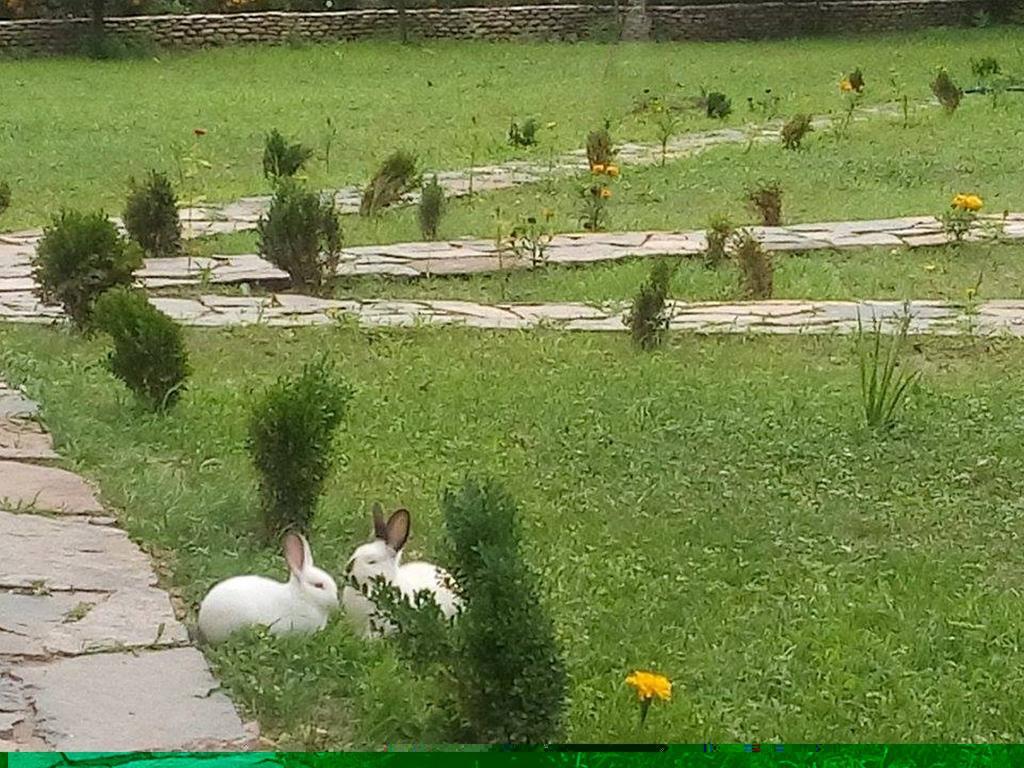 فندق Holiday Park Ranchoto كيركوفو المظهر الخارجي الصورة